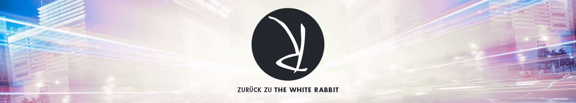 Buddy - Artwork - Key Visual - Footer