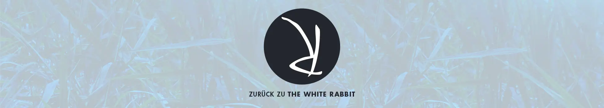 Die Toten vom Bodensee: Die Meerjungfrau - Artwork - Key Visual - Footer